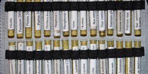 Qualitätszirkel Homöopathie